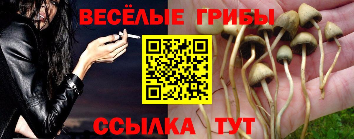 Псилоцибиновые грибы Magic Shrooms Александров